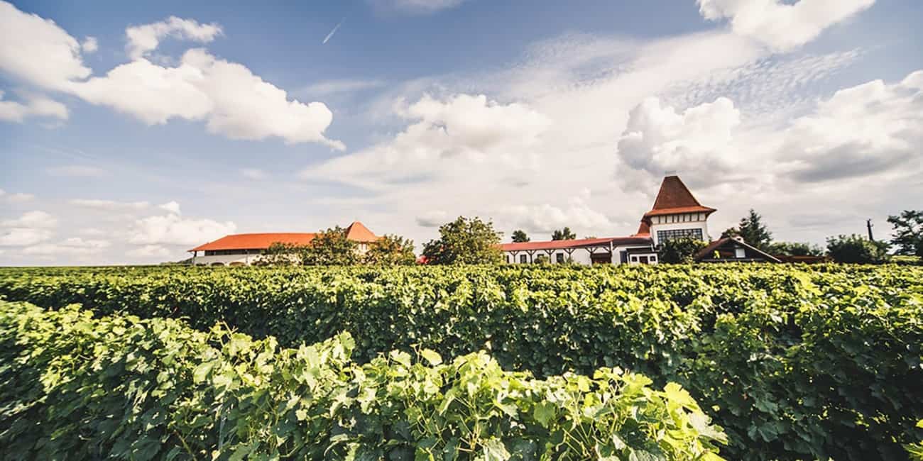 Garamvári Vineyard