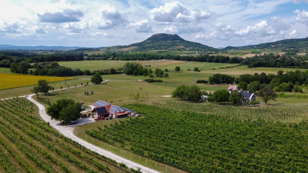DJI_0338 v2