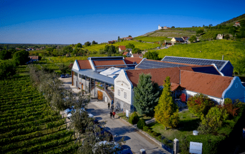 Tornai Winery, Somló, Hungary