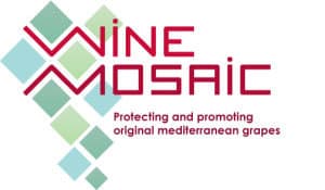Wine Mosaic