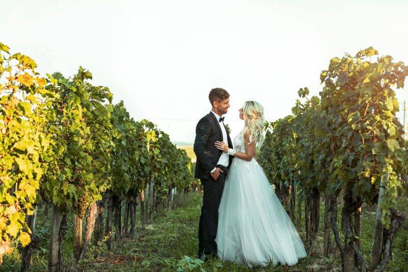 wedding haraszthy vineyard