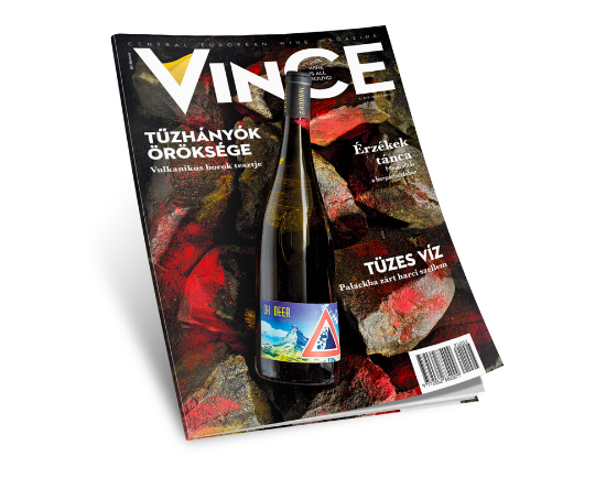 vince magazine cover villa sandahl wet stones