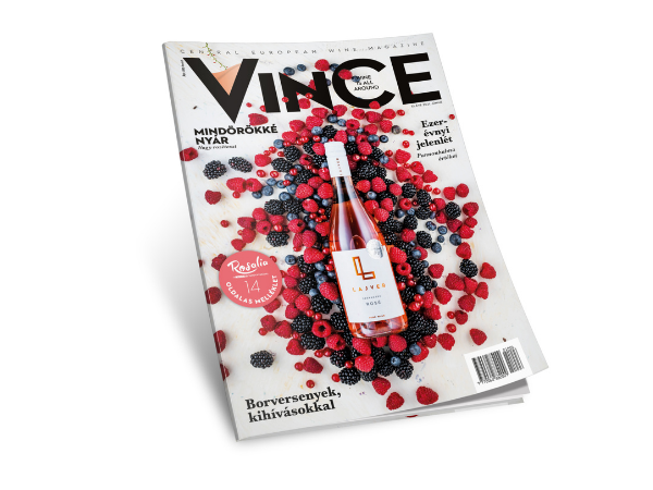 VinCE cover Lajver rose