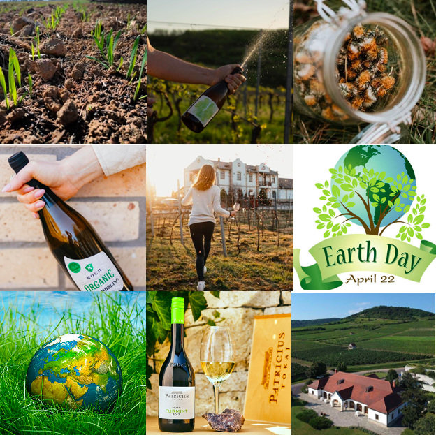 Earth Day 2022 Hungary wine Kristinus Koch Patricius