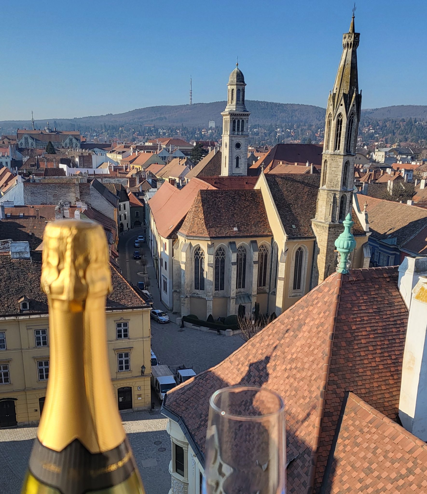 Taschner Chardonnay Brut view of Sopron