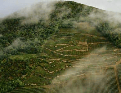 Barta Old Hill vineyard Mád Tokaj Hungary
