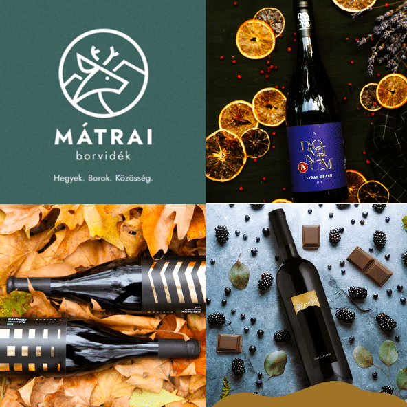 Mátra wine tasting Hungary