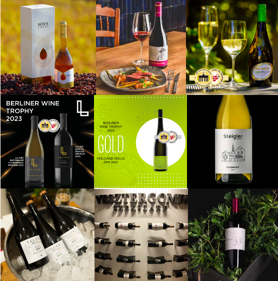 Hungarian gold winners at Berliner Wine Trophy winter tasting 2023