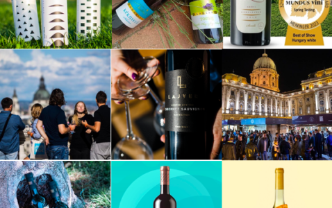 Budapest Wine Festival 2023 September