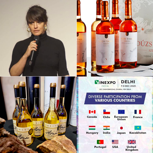 Vinexpo India 2023 Hungarian masterclass with Dúzsi wines