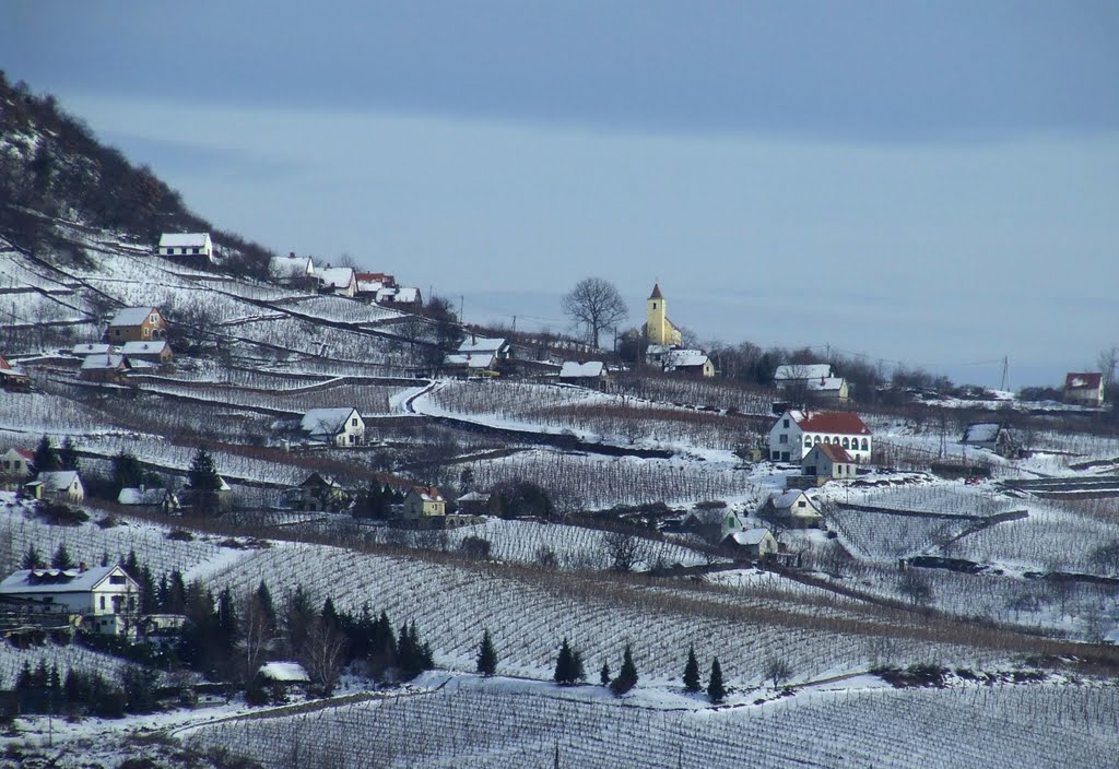 Somló mountain in winter, Hungary