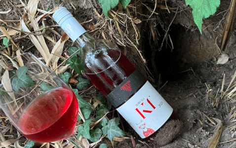 Csetvei Kékfrankos Siller Mór Hungary natural wine