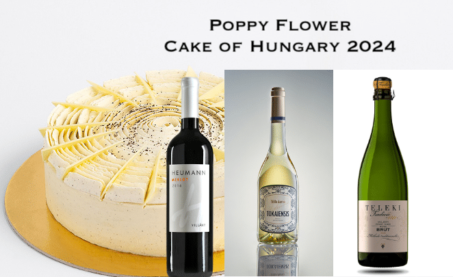 Cake of Hungary winner 2024 with wine pairings