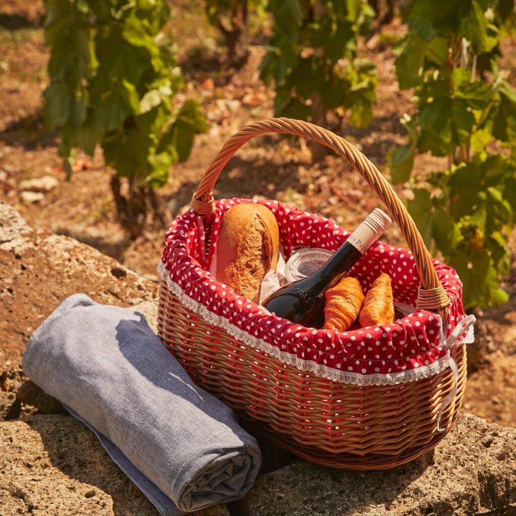 patricius-picnic-tokaj-hungary Tokaj Patricius picnic in the vineyard, Tokaj, Hungary