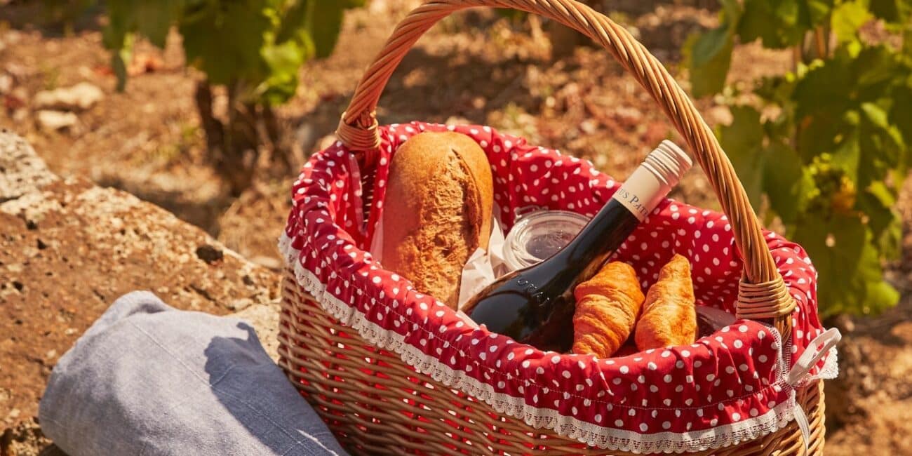 Tokaj Patricius picnic in the vineyard, Tokaj, Hungary