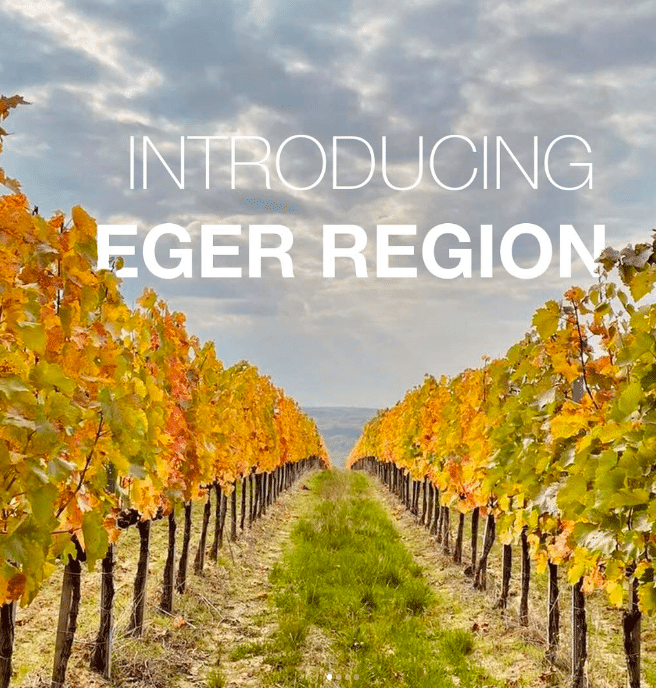 Eger wine region, Wijndruppels