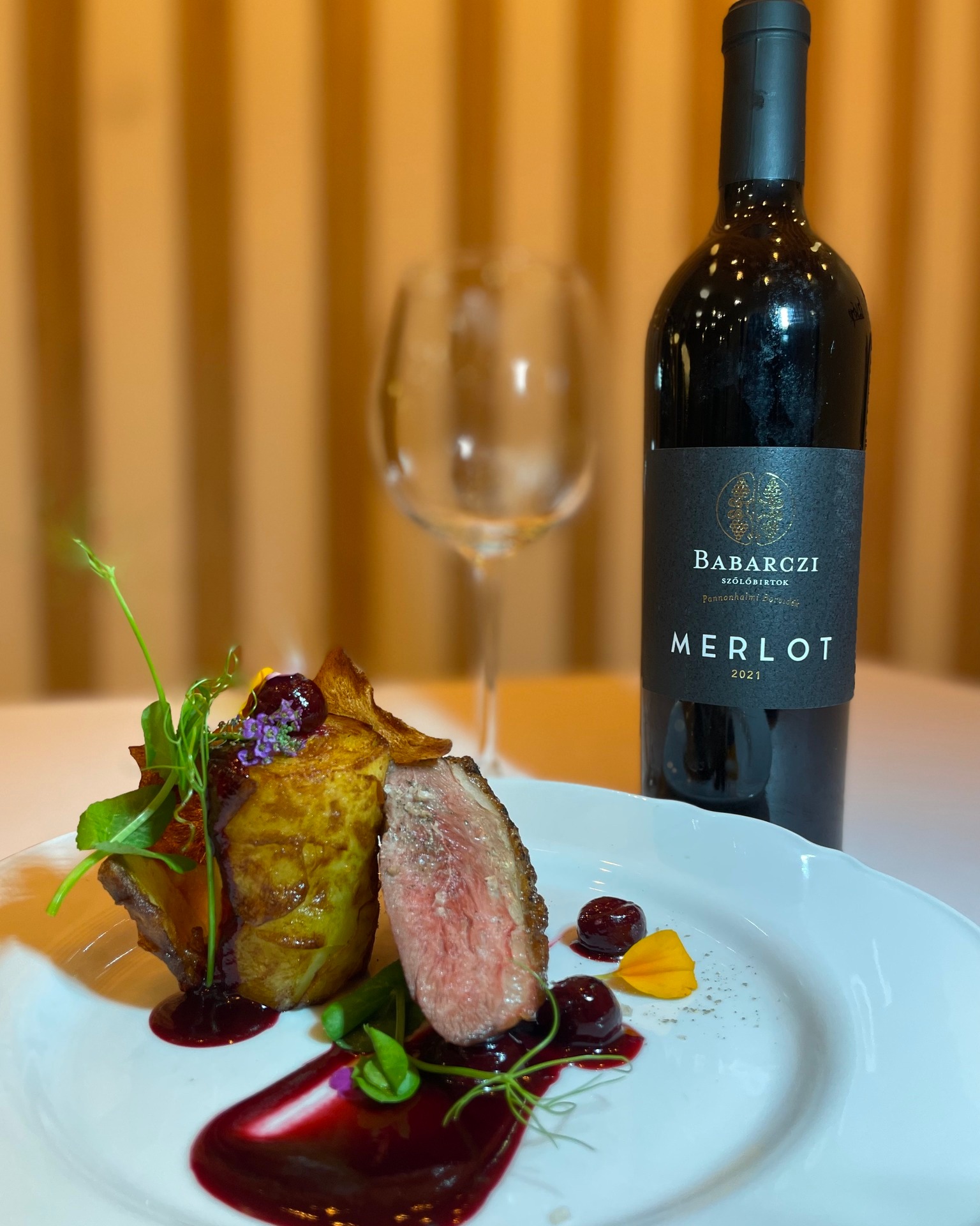 Babarczi Winery Merlot Duck breast, Pannonhalma, Hungary