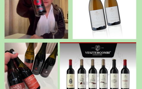JamesSuckling.com Hungarian wines 2024