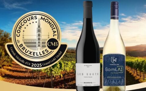 Kancellár Somló Best White Wine of CMB 2025 Hungary