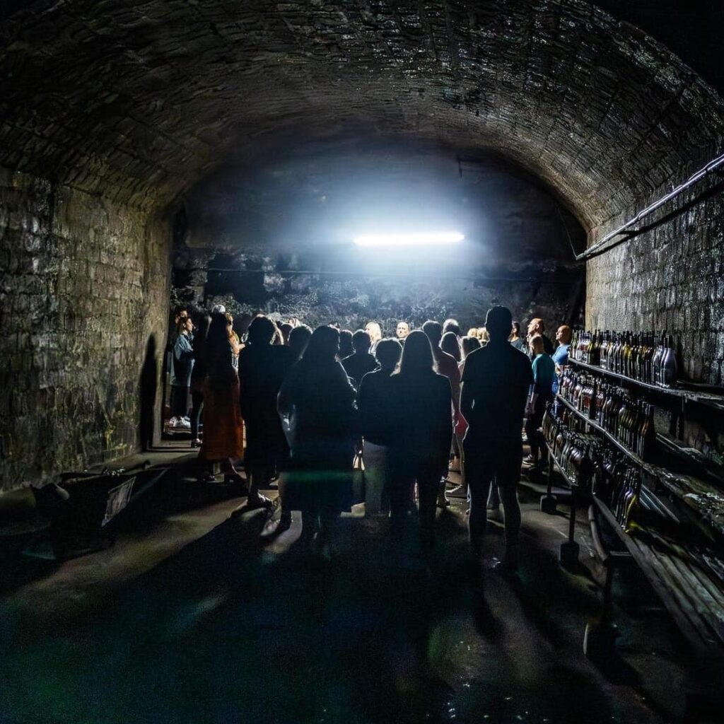 Night cellar visit in Mátra at Dominium Winery, Hungary