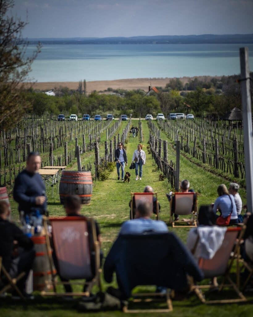 Homola Wine Terrace Balaton Hungary