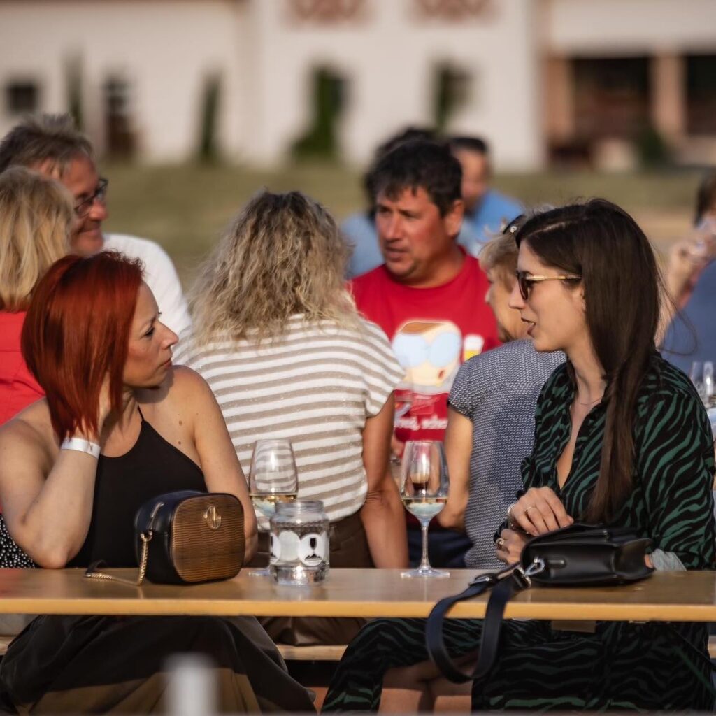 Farkasmály wine festival in Mátra at Dominium Winery, Hungary, July 2025