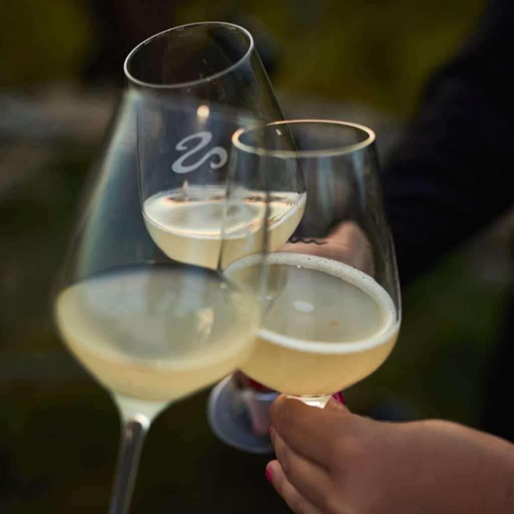 Zsirai sparkling wine Mád, Tokaj, Hungary