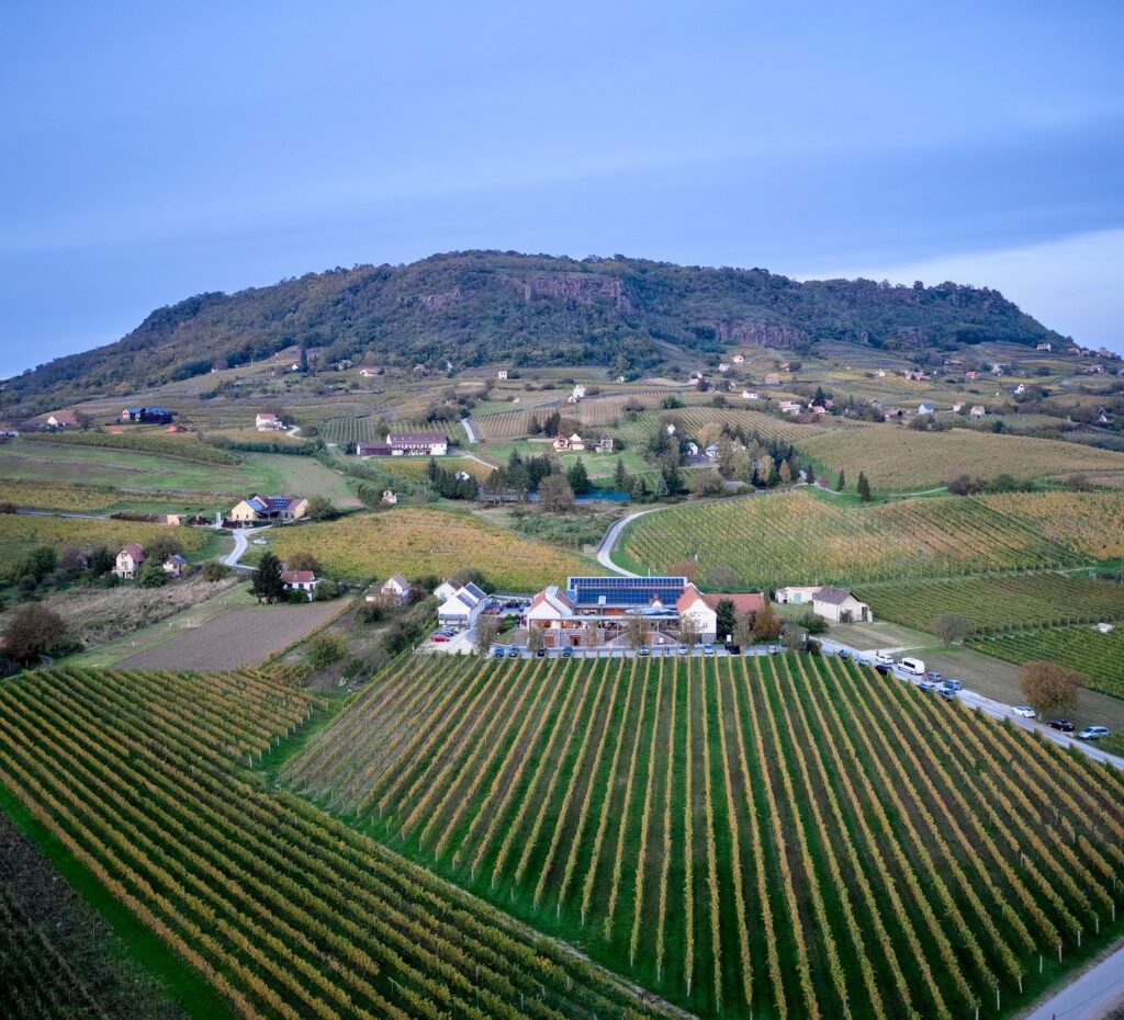 Somló Tornai Winery Hungary