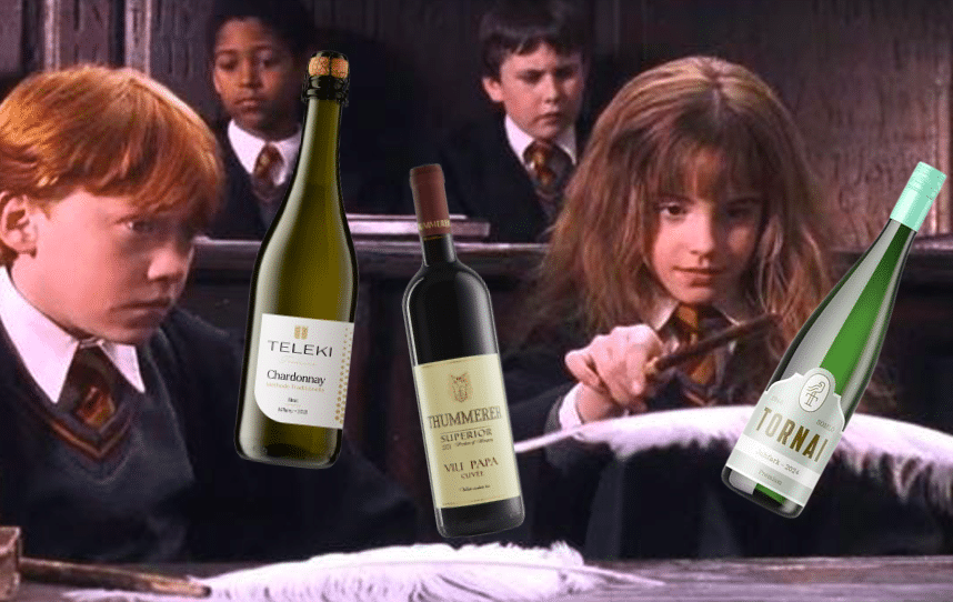 Vingardium wine event Budapest 2025 Tornai, teleki, Thummerer