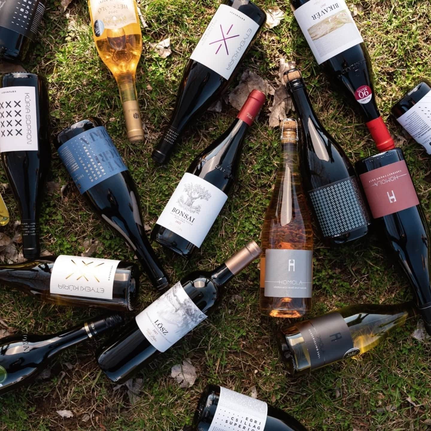 Fine Wines Association of Hungary event in berlin 2025