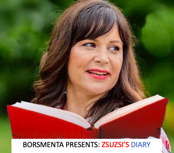 Zsuzsa Babarczi's diary by Borsmenta