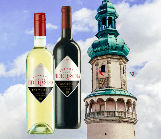 Taschner Fidelissima blended wines from Sopron, Hungary, from the Faithful City