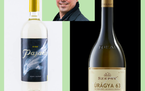 Turkish Kolorko and Hungarian Furmint grapes are identical