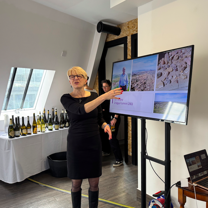 caroline-gilby-mw-london-furmint-2026 Caroline Gilby MW in London in 2026, Furmint masterclass