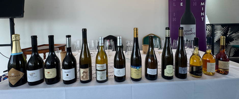 furmint-masterclass-25-years-london-2026 Furmint wines, 25 years, masterclass in London 2026