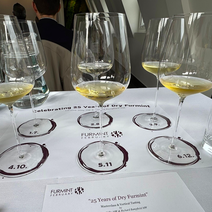 masterclass-25-years-furmint-london-2026 Furnint masterclass 25 years, London, 2026