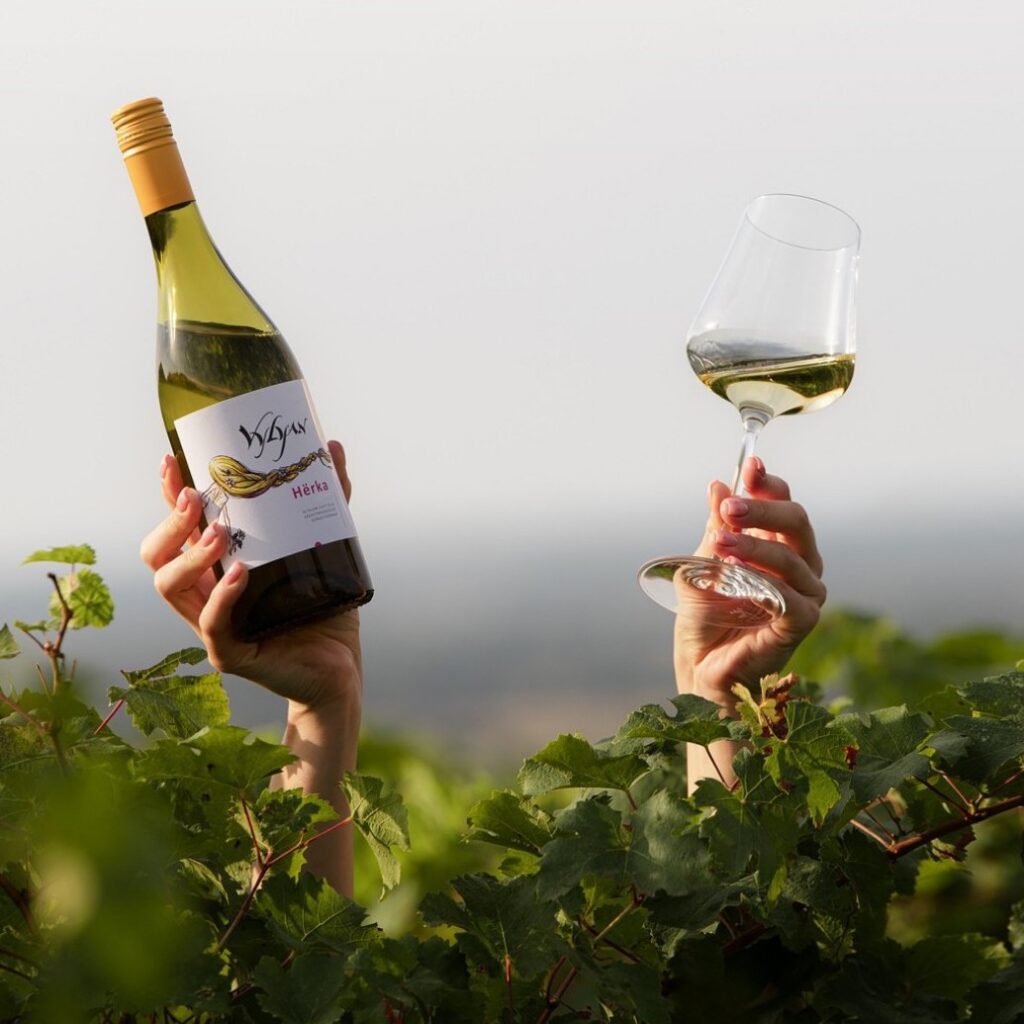 Vylyan Herka Chardonnay Villány Hungary