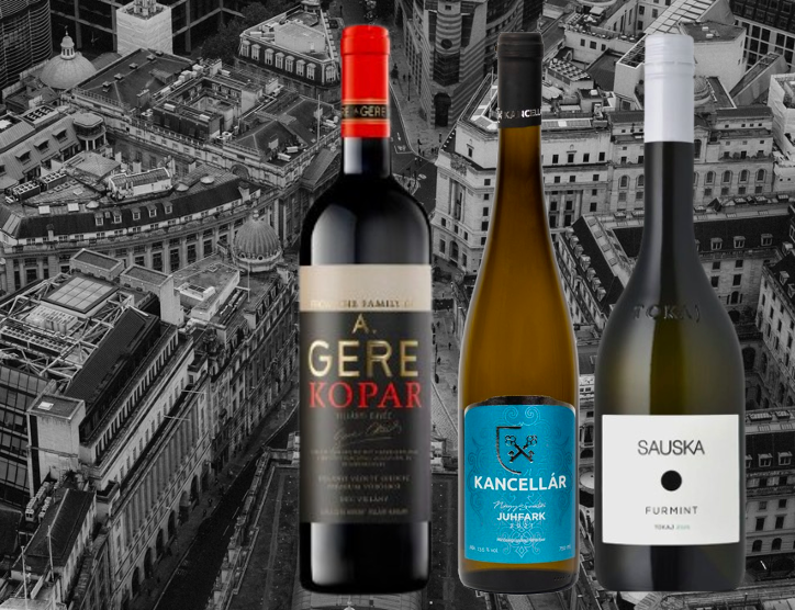 CEE Wine Fair London 2026 with Gere, Kancellár and Sauska wineries