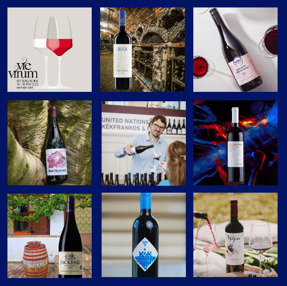 Hungarian Kékfrankos wines at VieVinum 25