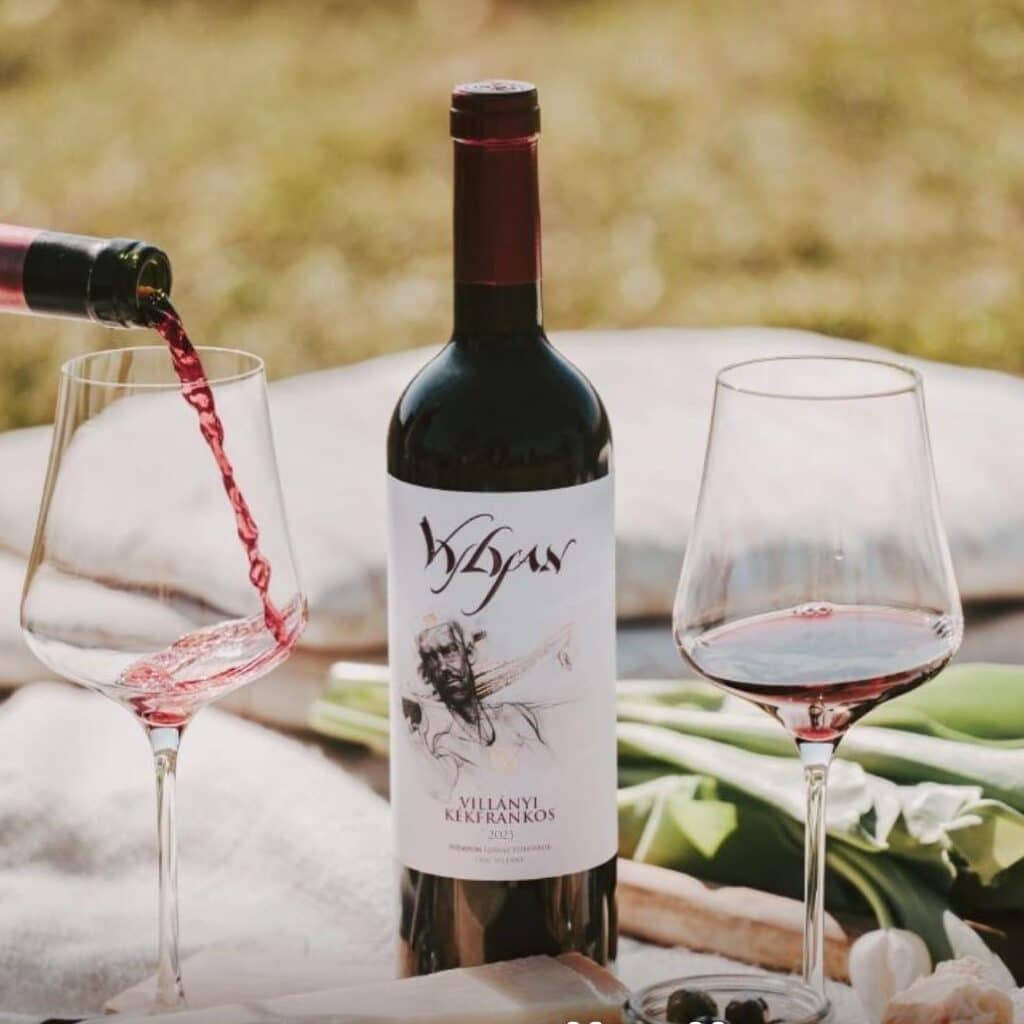 Vylyan Kékfrankos Villány Hungary
