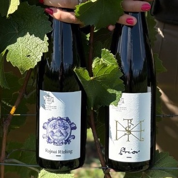 Pannonhalma Archabbey Winery Rhine Riesling Hungary
