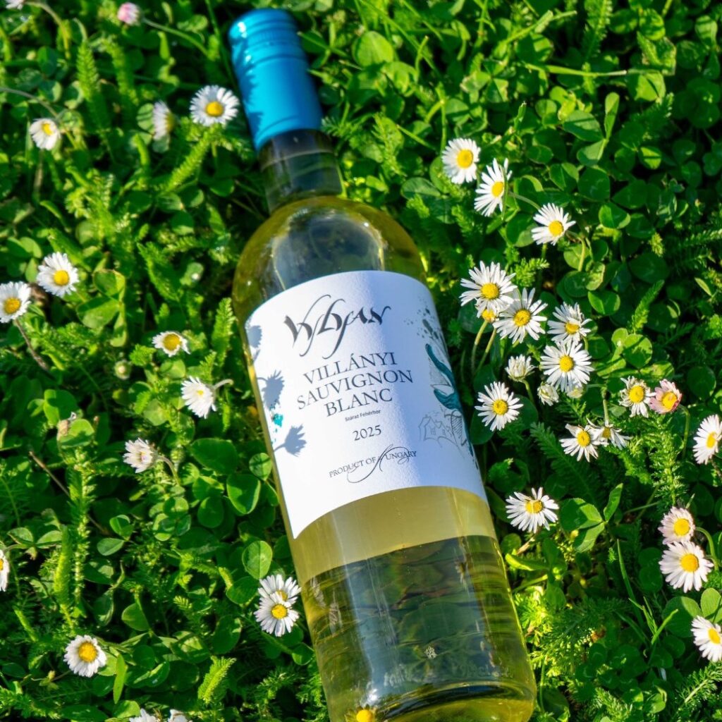 Vylyan Sauvignon Blanc Villány Hungary gold medal