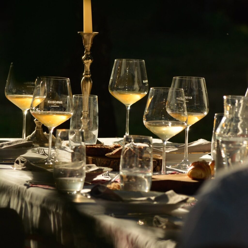 kristinus-natural-wines-balaton-hungary Hét Kakas dinner plates are paired with the natural wines by Kristinus