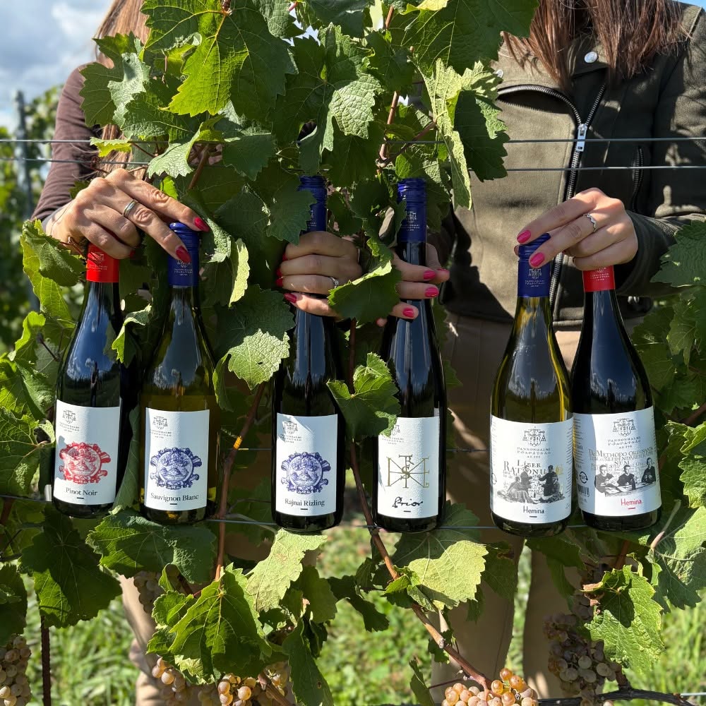 Pannonhalma Archabbey wines Hungary