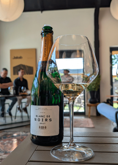 pinot-noir-tasting-badacsony-hungary-2026-2 Egyeki Kúria Blanc de Noirs