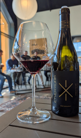 pinot-noir-tasting-badacsony-hungary-2026-3 Etyeki Kúria Pinot Noir