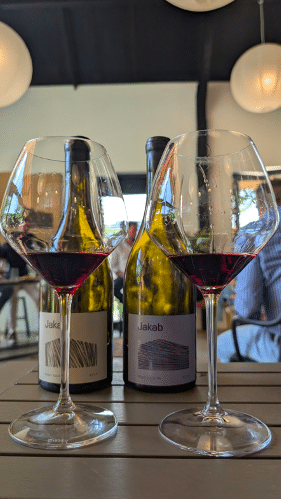 pinot-noir-tasting-badacsony-hungary-2026-5 Jakab Pinot Noir Badacsony Hungary