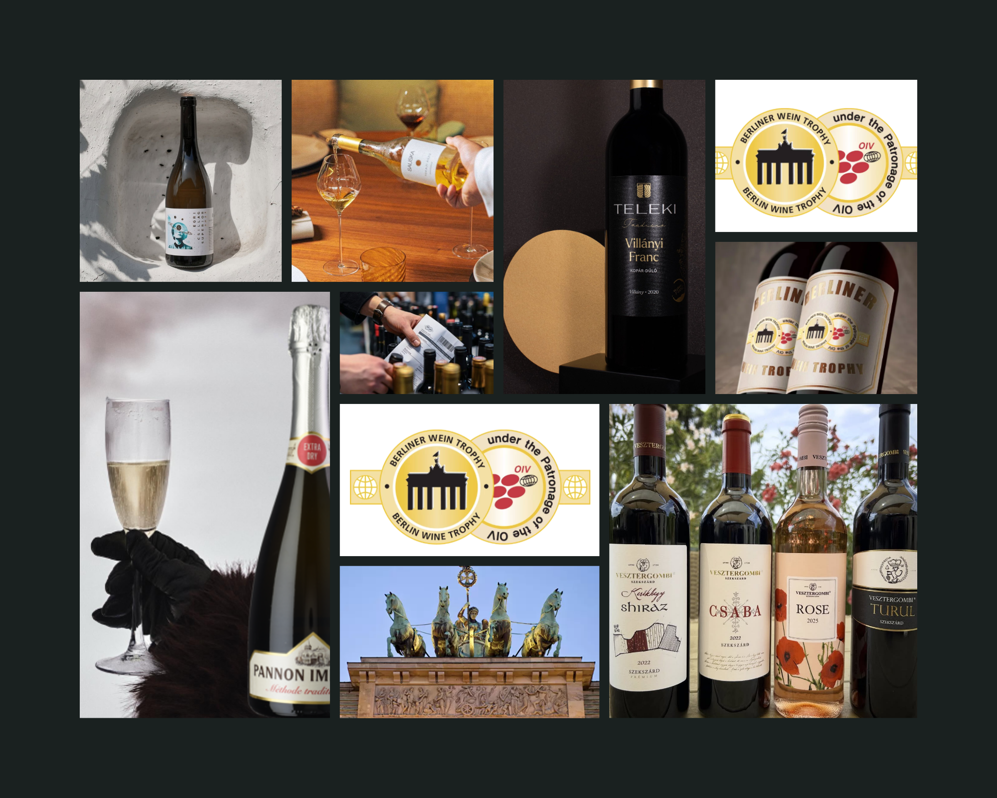 Berliner Wine Trophy 2026 summer tasting Hungarian highlights