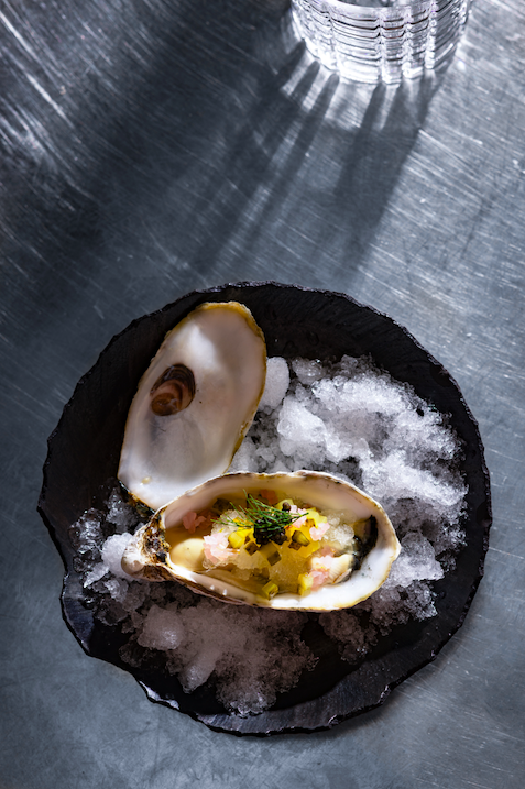 oyster in Budapest