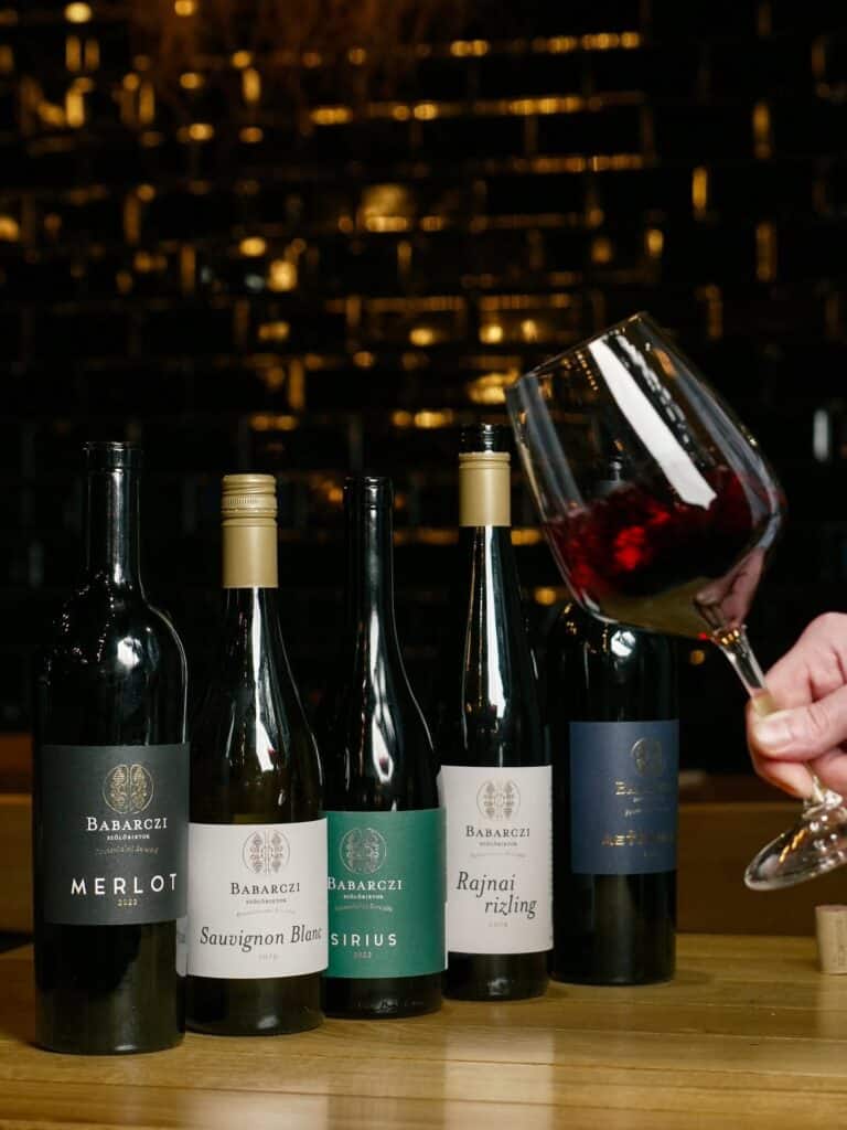 The Babarczi "line-up" at Hoppá Bistro